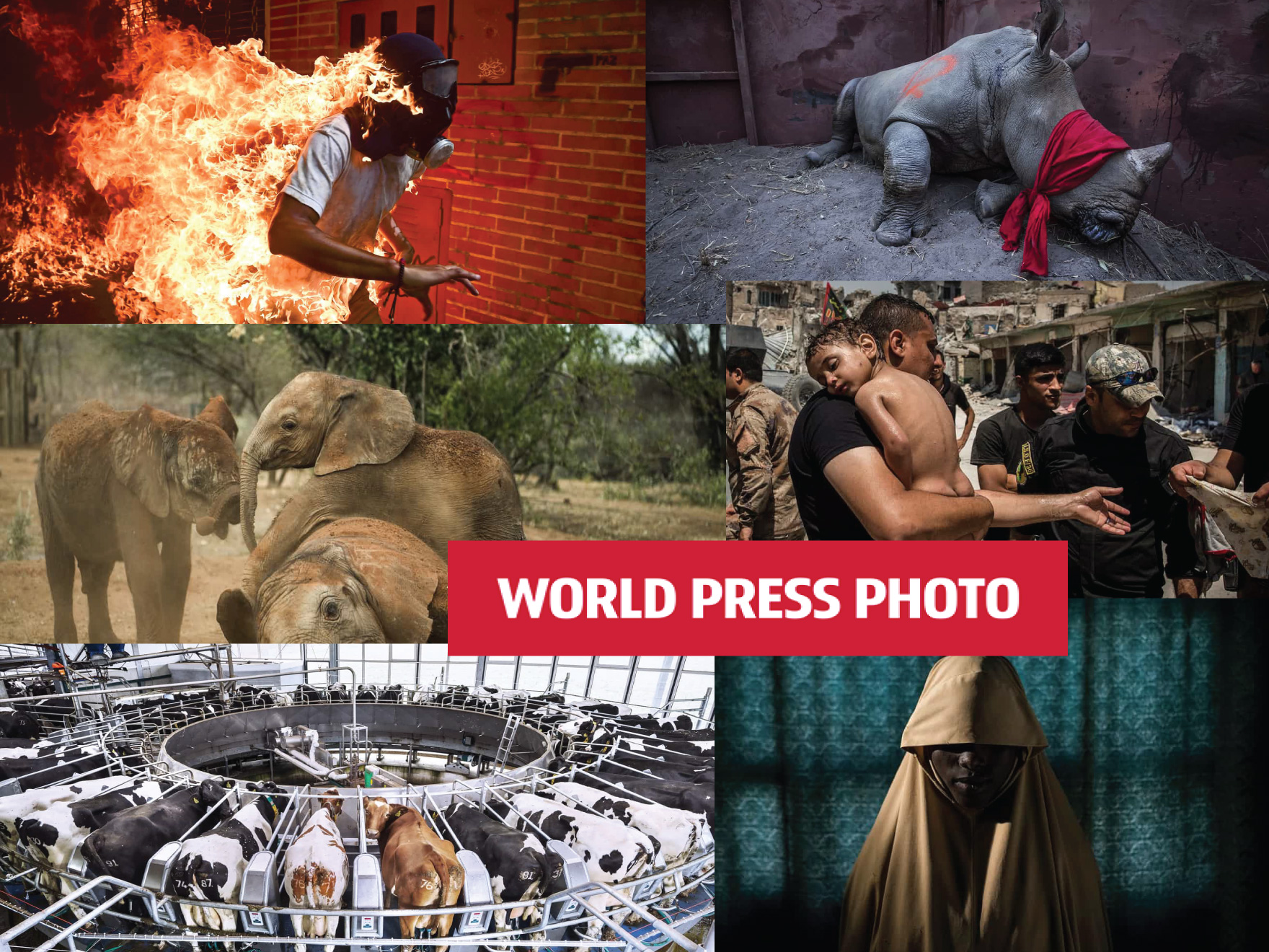 2018 World Press Fotoğraf Yarışması Adayları
