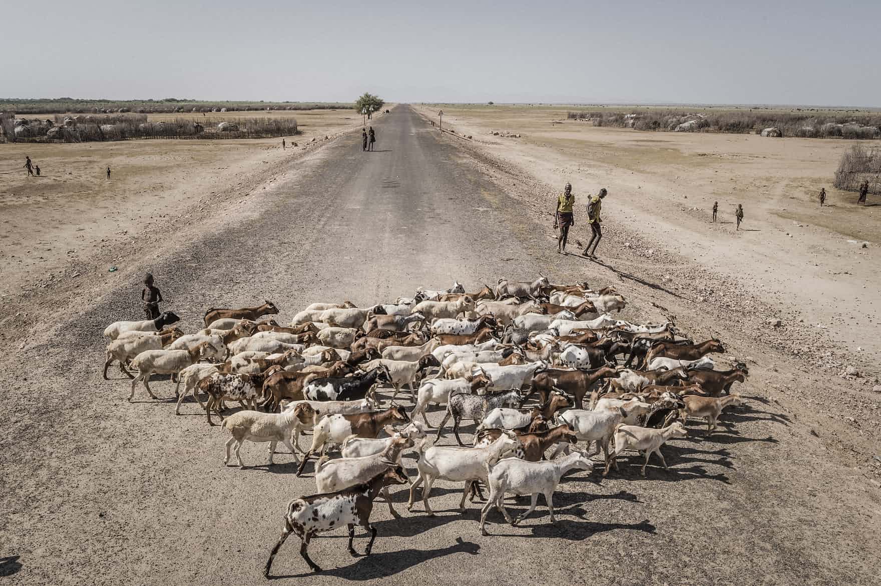 " Etiyopya’da Keçi Çobanları"