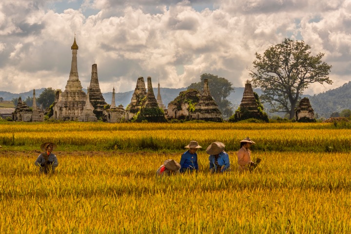 Myanmar Fotoğrafları